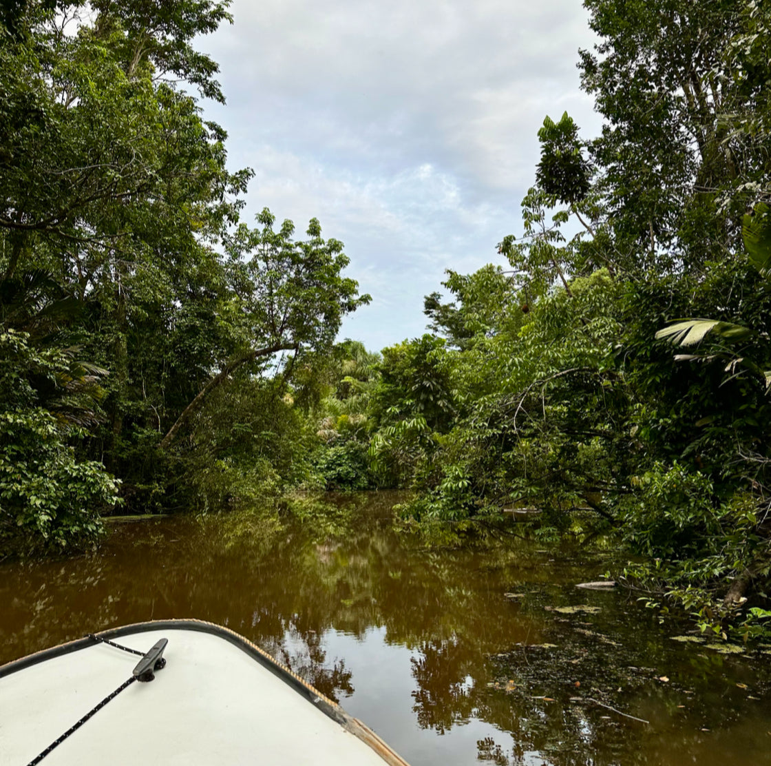 Fly Fishing in the Costa Rican Jungle on a skiff looking for giant tarpon