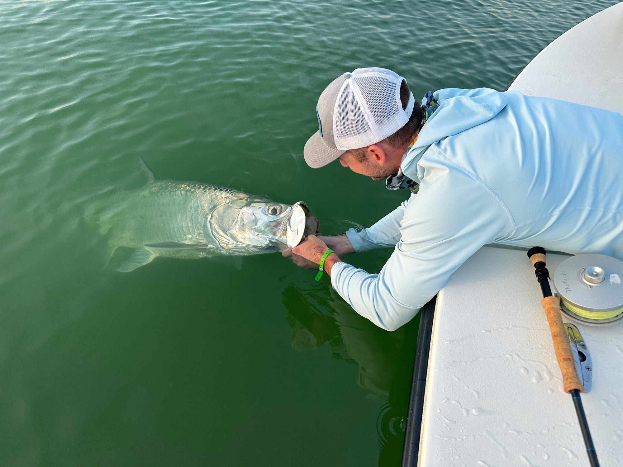 Complete Tarpon Fishing Tackle Guide: Expert Tips from Florida Guide