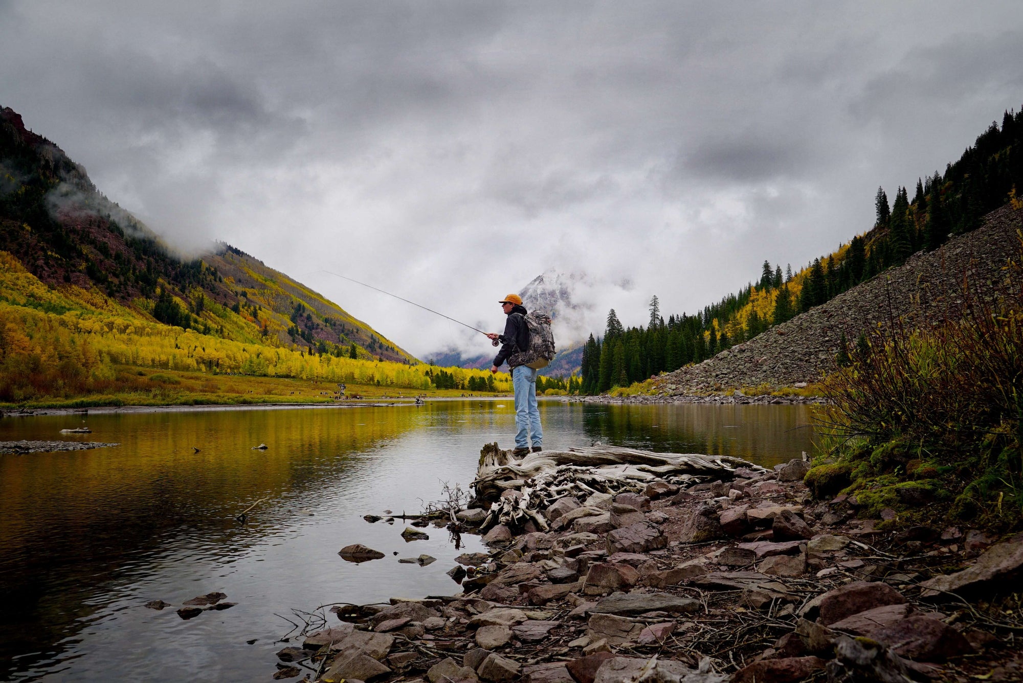 Competition Series Fly Lines