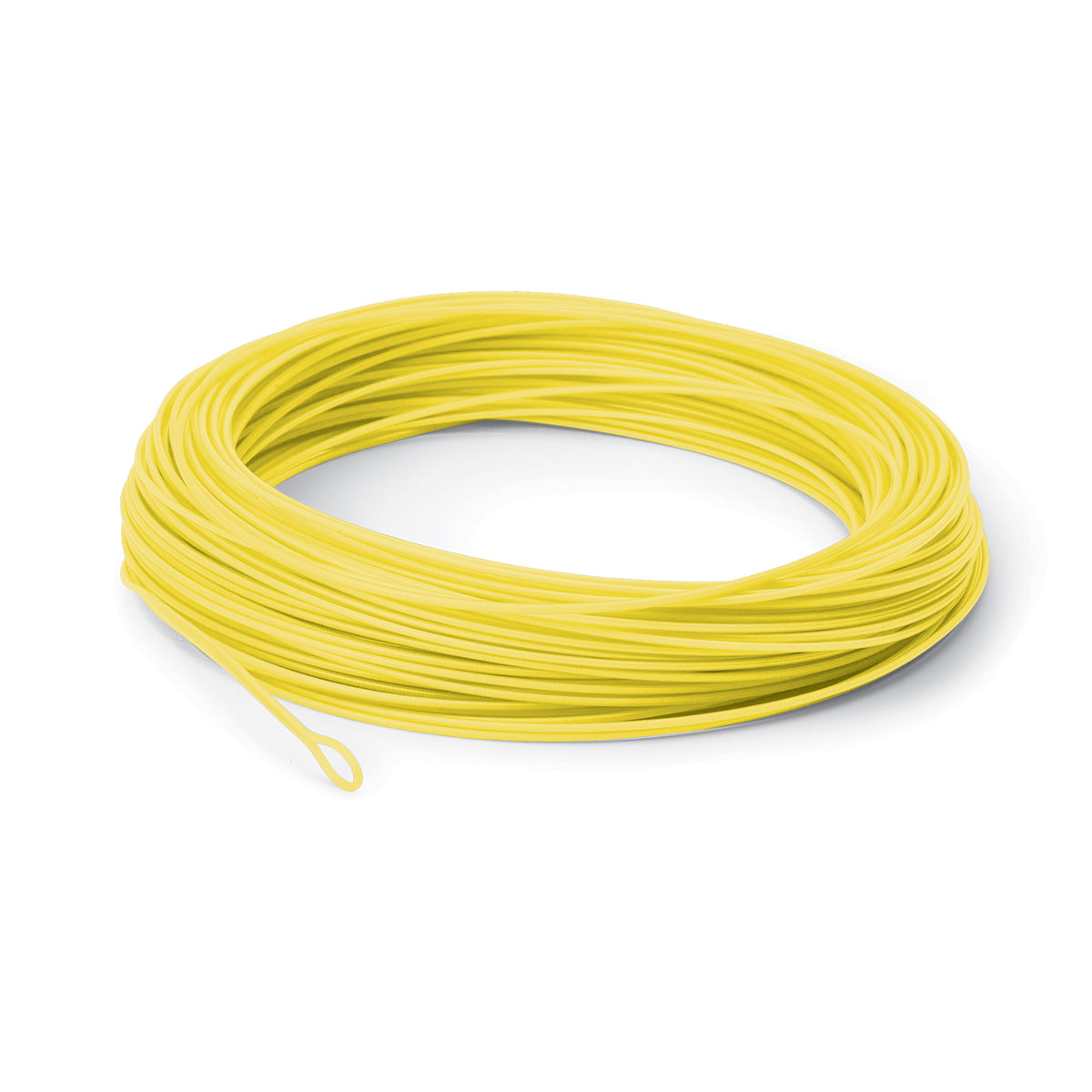 Coiled yellow fishing line on a white background